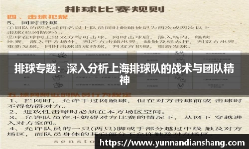 排球专题：深入分析上海排球队的战术与团队精神
