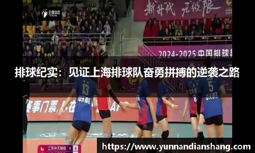 排球纪实：见证上海排球队奋勇拼搏的逆袭之路