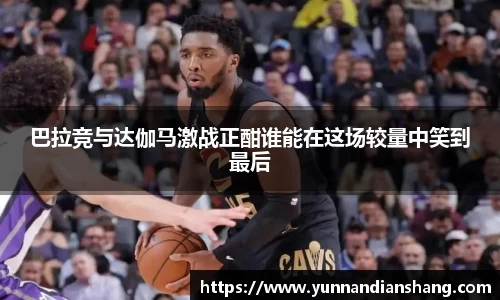 球信网