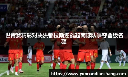 球信网