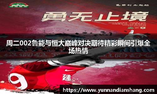 球信网