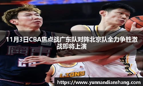 球信网网址