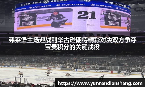 球信网
